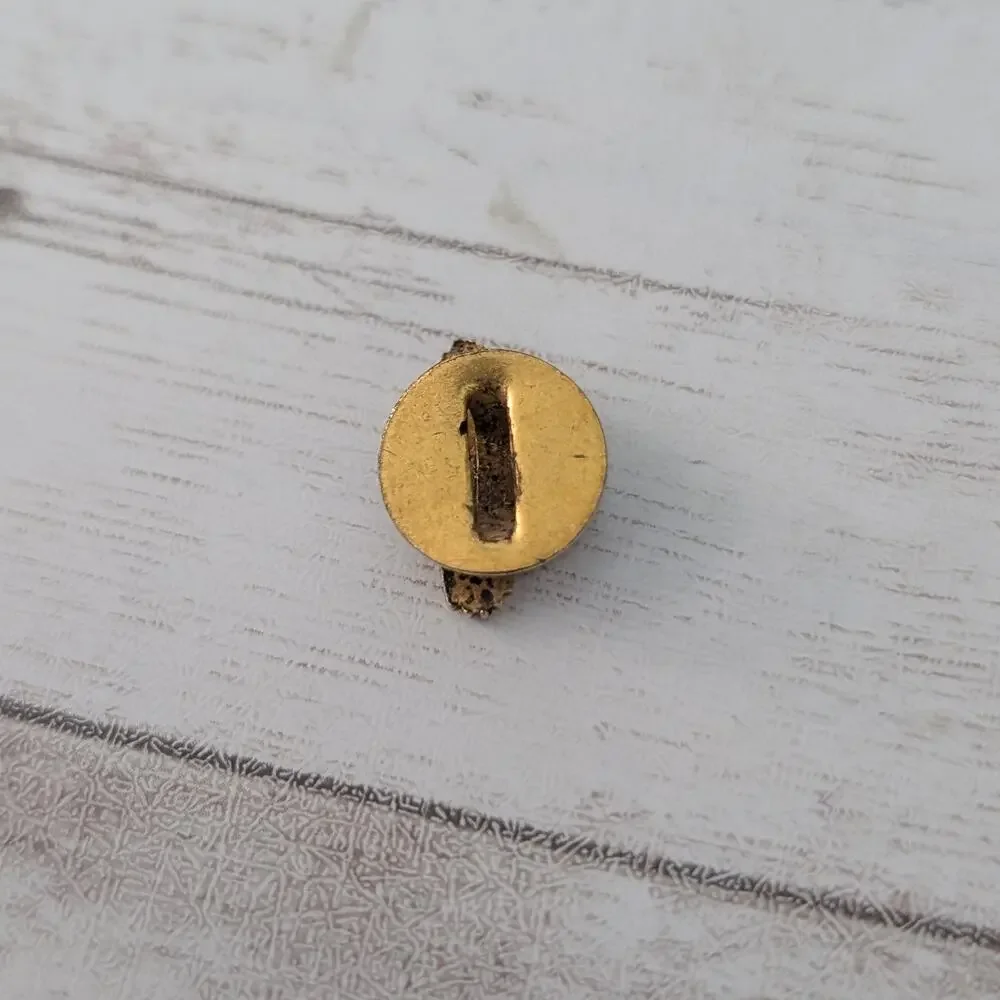 Vintage World War 2 WWII Button Hole Pin Honorable Discharge